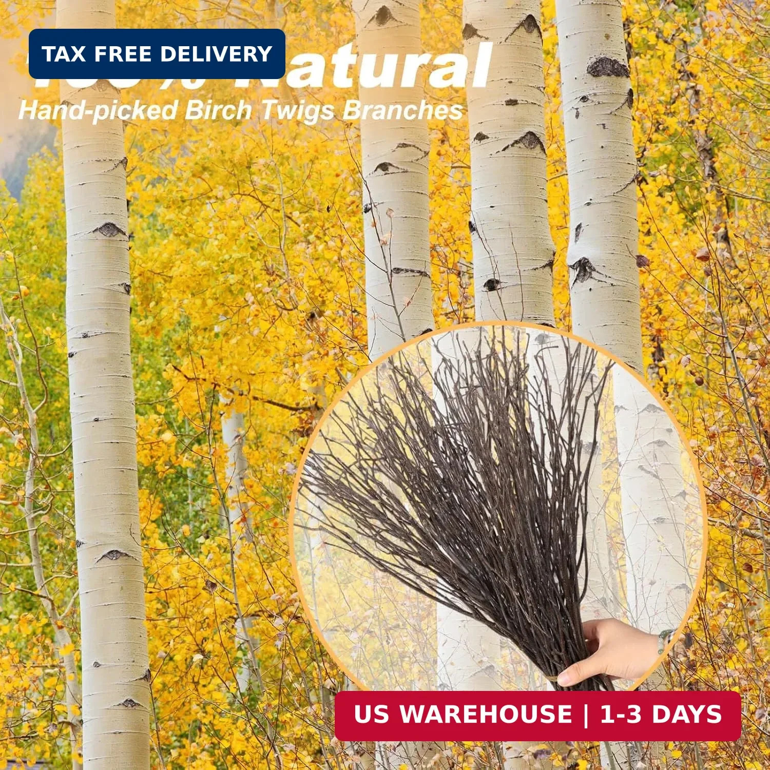 30Pcs Real Dried Birch Twigs – 16″ Decorative 100% Natural Birch Branches for Ea