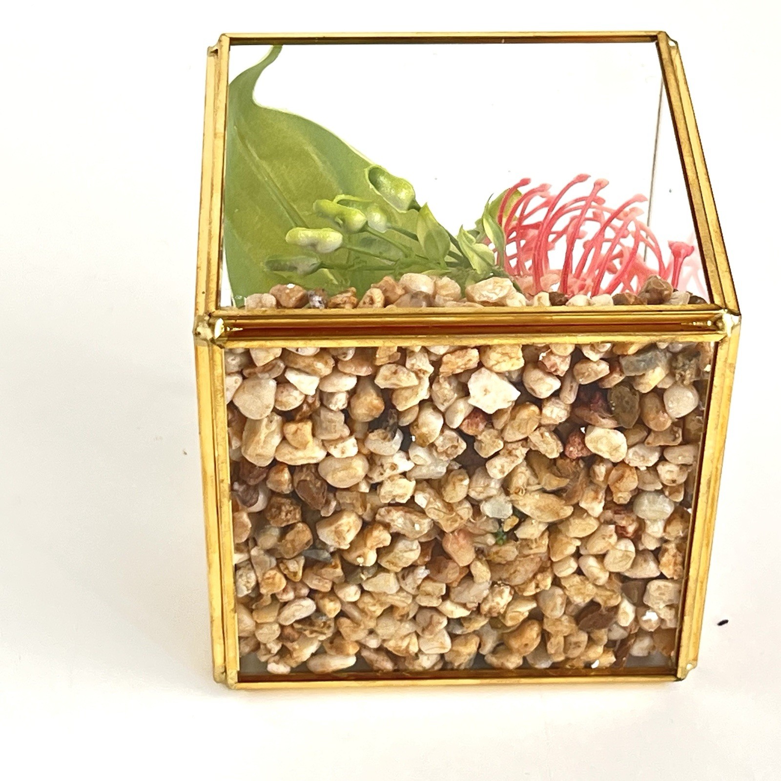 Geometric Square Terrarium Tabletop Planter Artificial Succulents 4” Brass