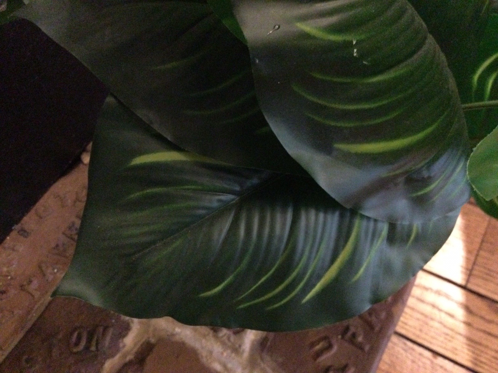 2 Small Artificial Fake Faux Plants➕Pots➕Stones 🌱Monstera➕Apple Leaf 📏16” Tall