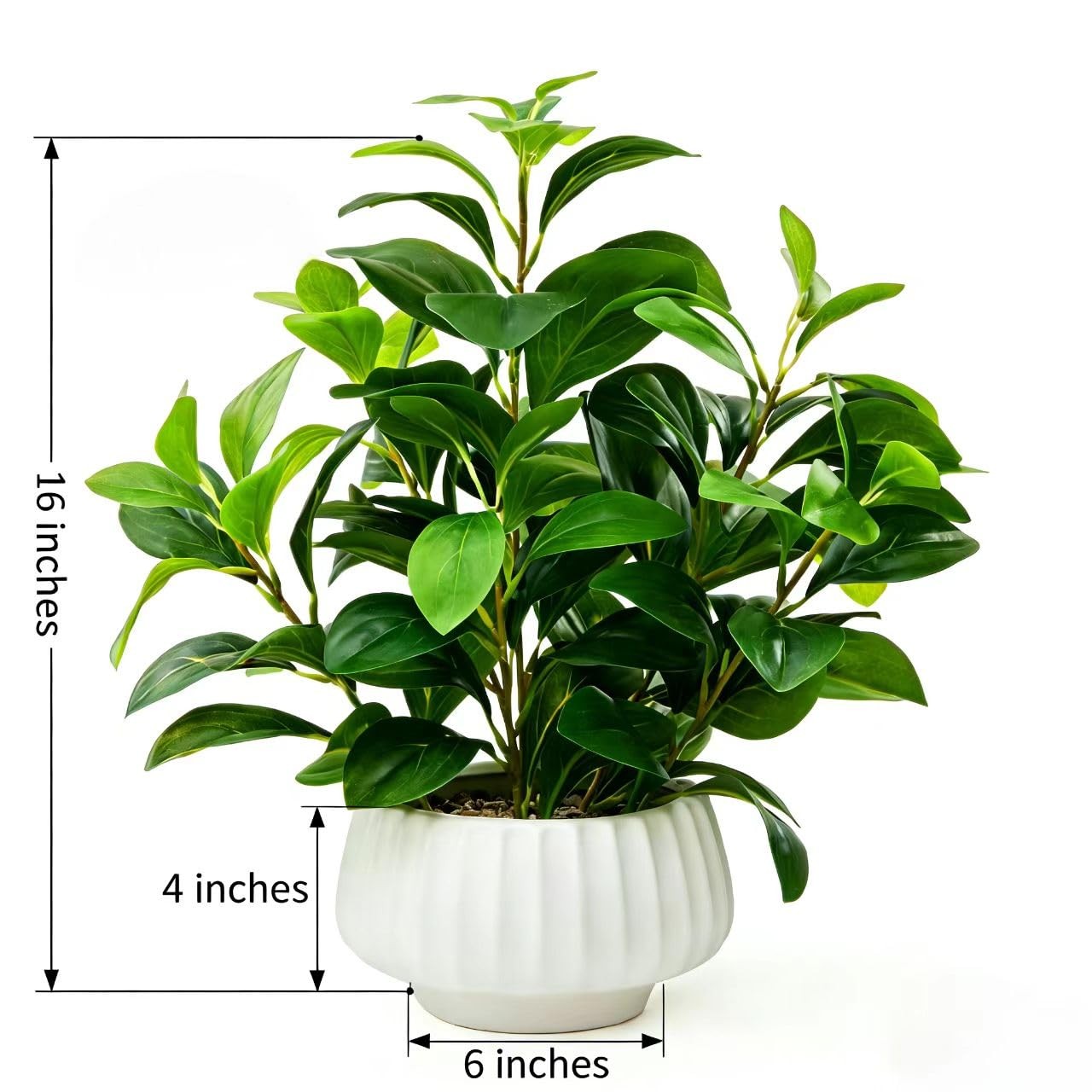 Artificial Peperomia Plants 16.5” Tall Lifelike Faux Greenery in 6” White Ribbed