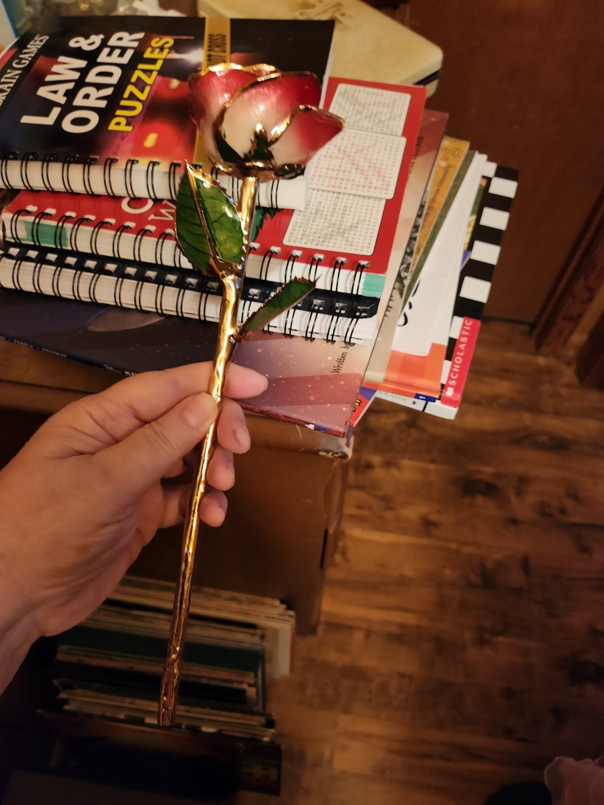 24k Gold Dipped Gold Red Opened Long Stem Rose