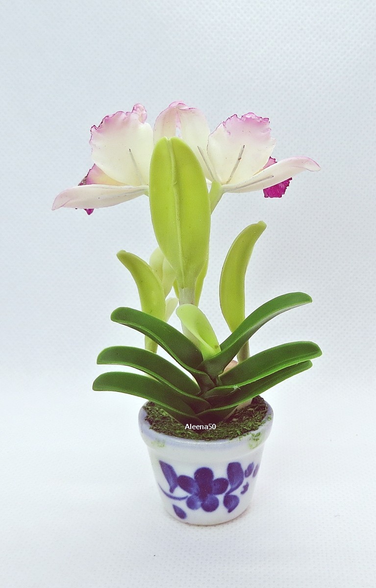 US Stock 4″H Handmade Miniature Air-Dry-Clay-Crafted Catalunya Orchid Arranged.
