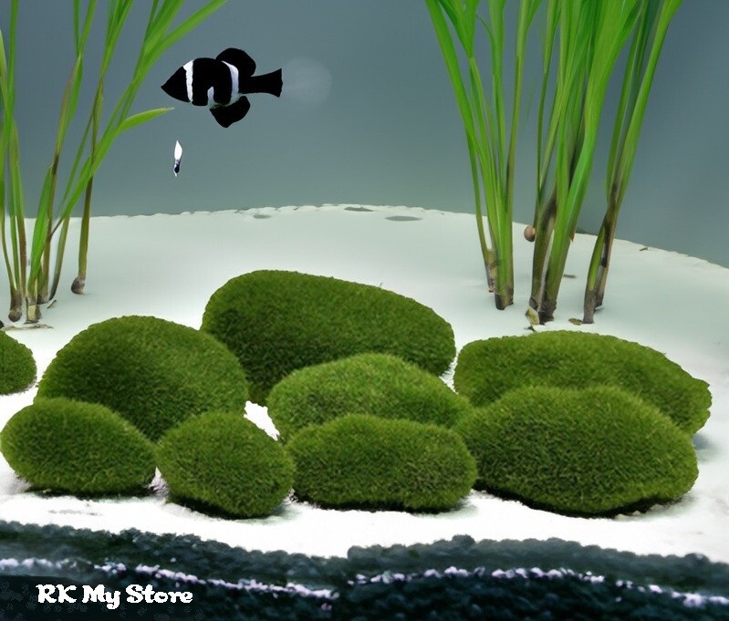 10Pcs set 4 Sizes Artificial Moss Rocks , Green Moss Balls,for Floral Arrange
