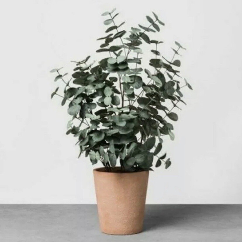 Set of 2 – Hearth & Hand Magnolia Faux Large Eucalyptus 22″ Terracotta Pot Plant