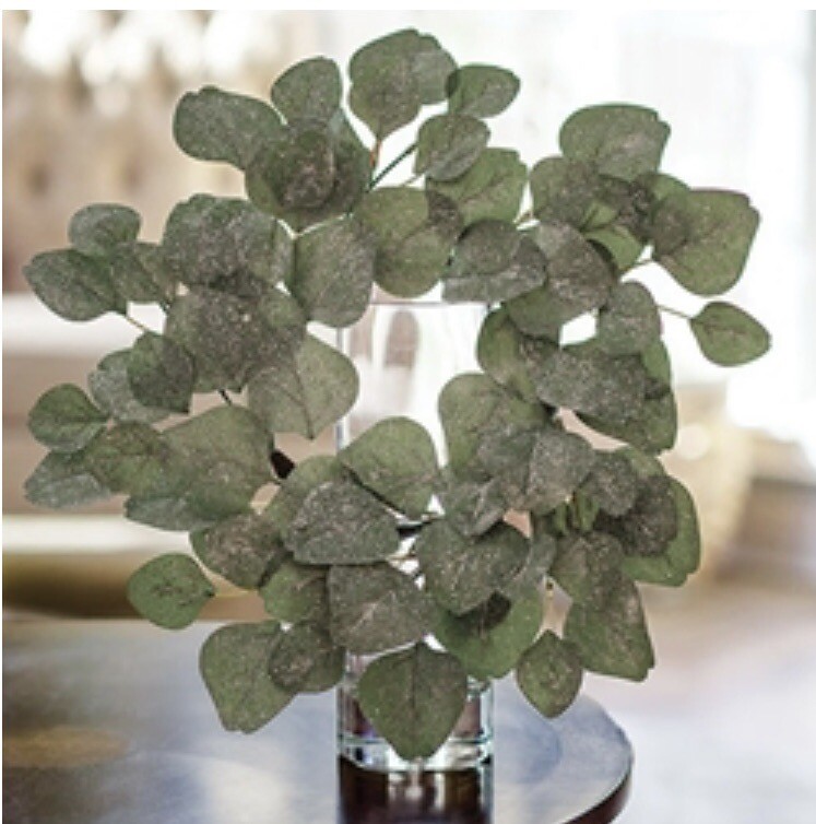 Frosted Dollar Eucalyptus Christmas Or Winter Small Wreath Ring, 6.5