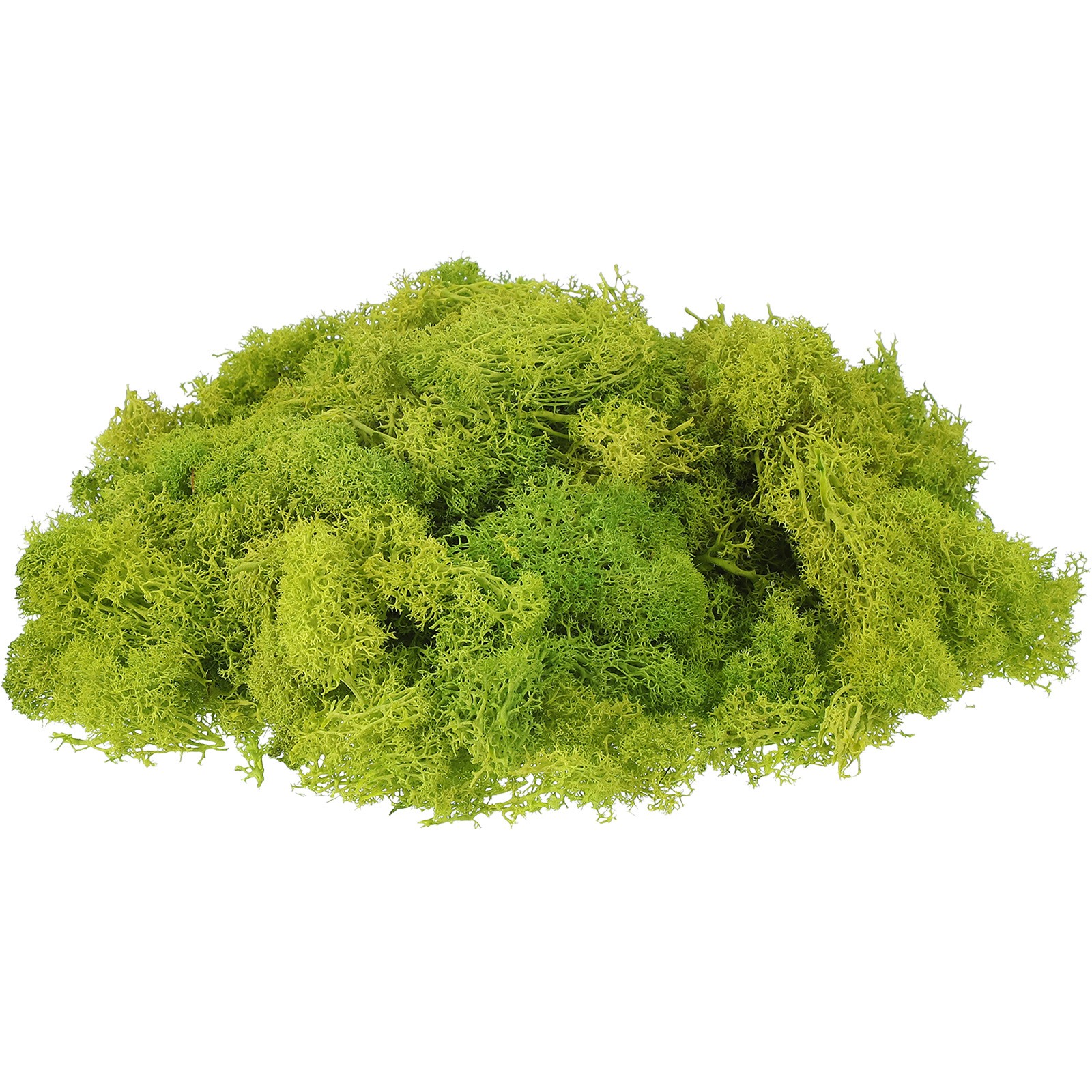 7oz Fake Preserved Reindeer Moss, Chartreuse