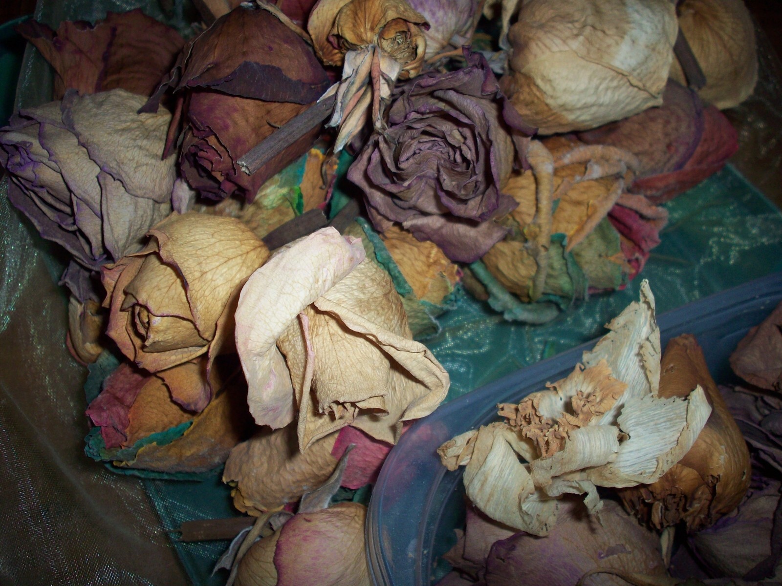 Real Dried Rose Flower Bunch of Dried Rose Heads Craft Floral Living Room Decor