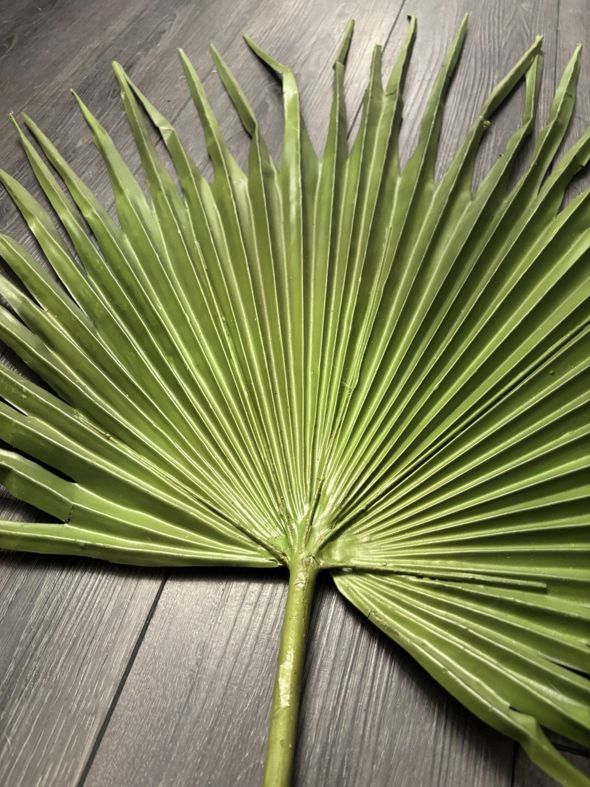 Large Fan Palm Leaf Stem 58” Tropical Boho Coastal Wedding Home Decor Prop