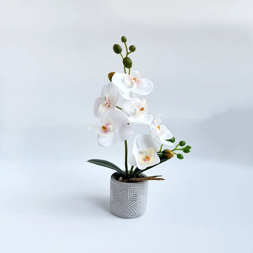 Fake Orchid Flower Plant in Cement Pot for Contemporary For Home Decoration