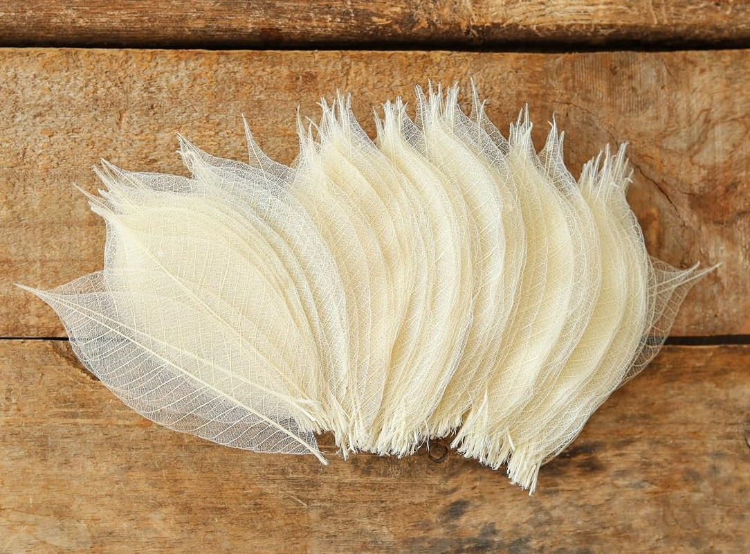 Real Leaves Natural Color100 PCS 4-5 Inches Natural Skeleton Leaves, Real Rubber