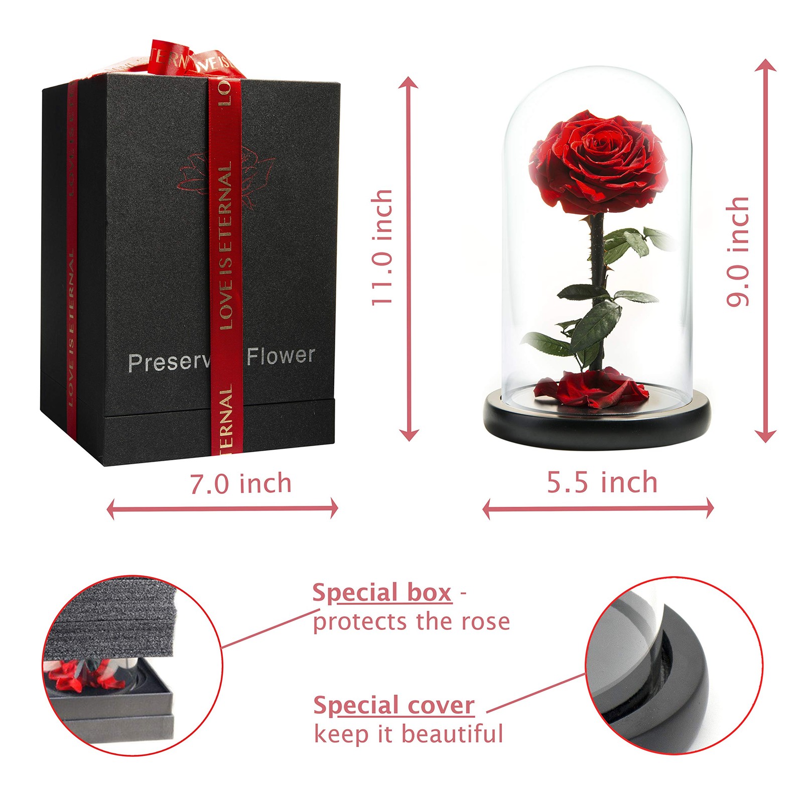 LOVAPPY Forever Preserved Rose – Eternal in Glass Dome – Medium, Red