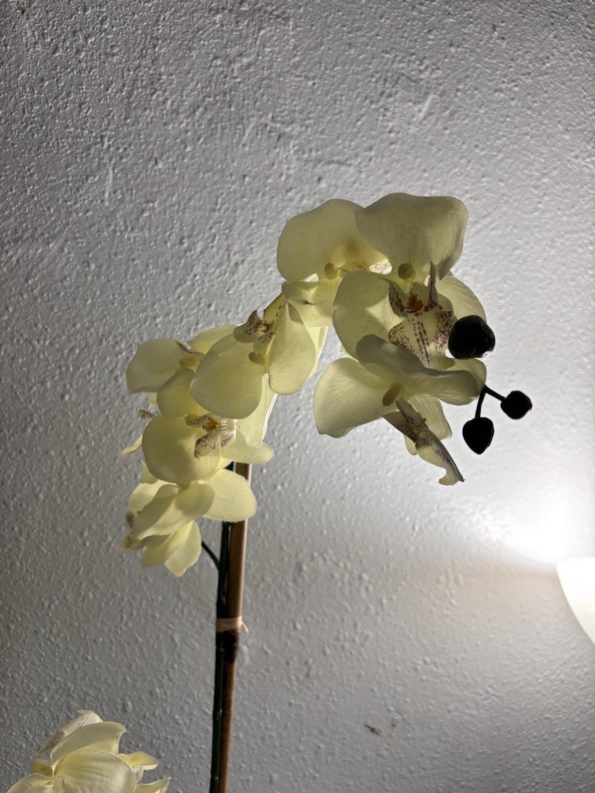 Artificial Yellow Orchid Silver Ceramic Pot Faux Phalaenopsis Floral 19”