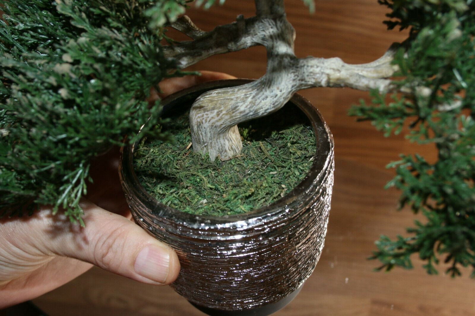 Bonsai Faux Japanese Pine Fake Tree 10x12x6″ Never Dies Cool Home Decor