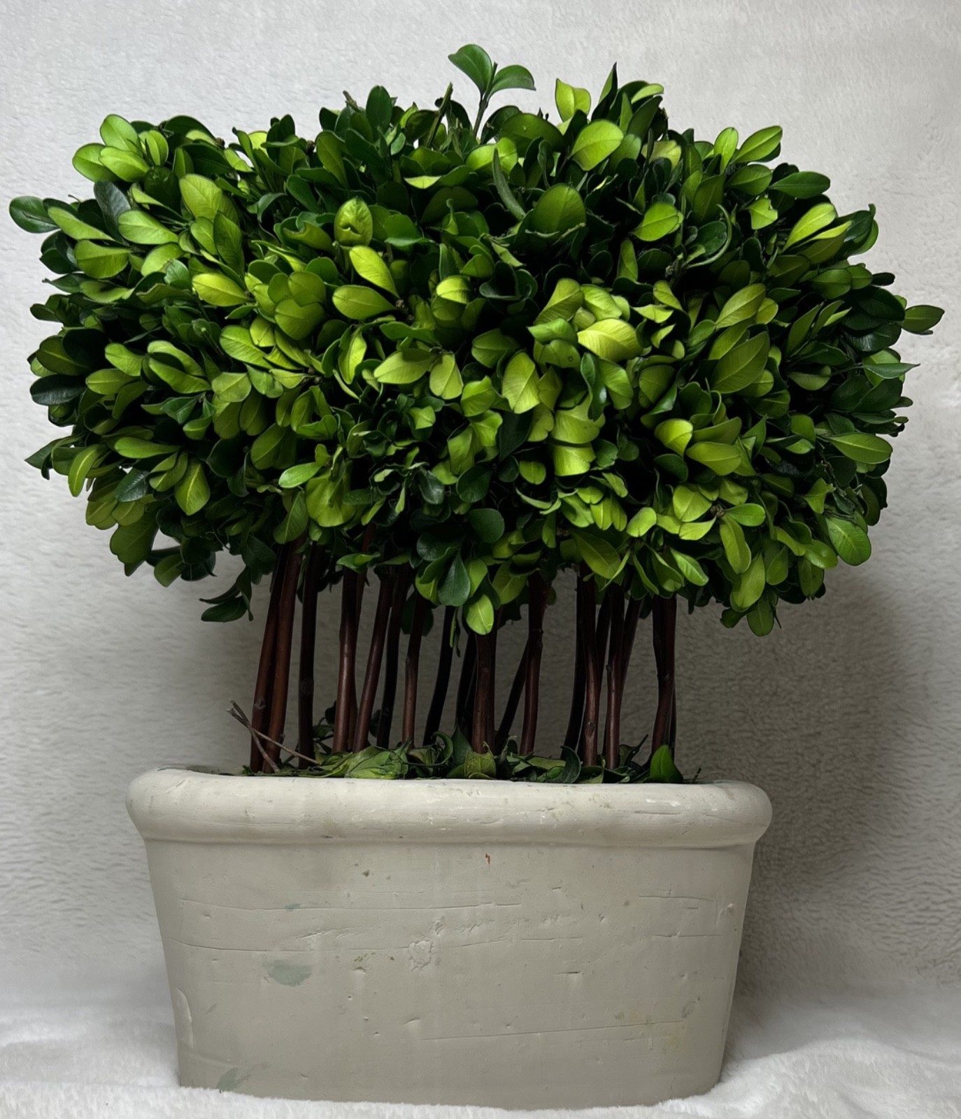 Bundle of Topiaries, Wreaths, and Picks for Decor