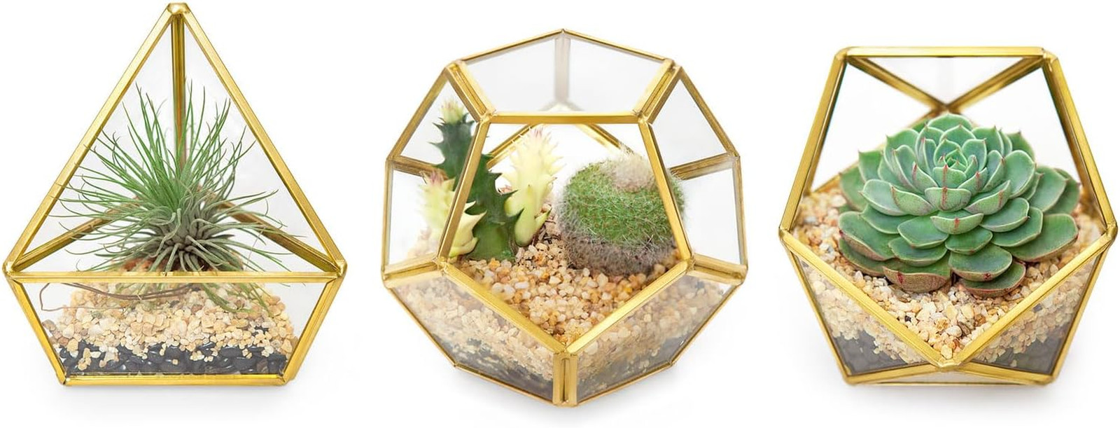 4 Inches Mini Glass Geometric Terrarium Container Set of 3 Modern Tabletop Plant