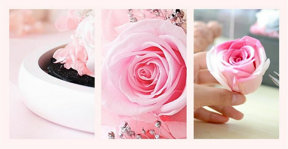 Preserved Rose Glass Dome Flower Gift Set For Womens Mother Day Birthday Wedding