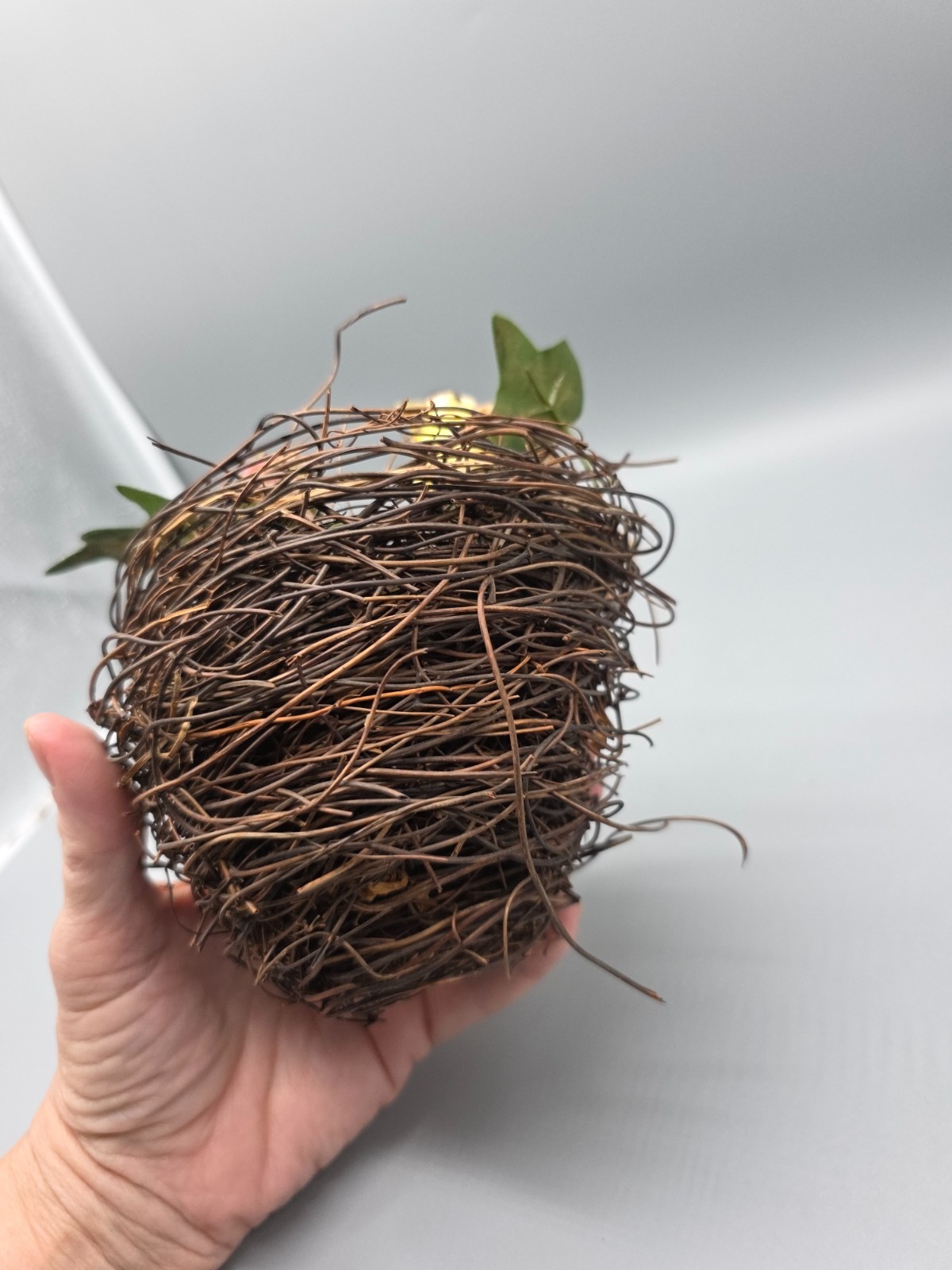 5″ Bird Nest Floral for decorative purposes