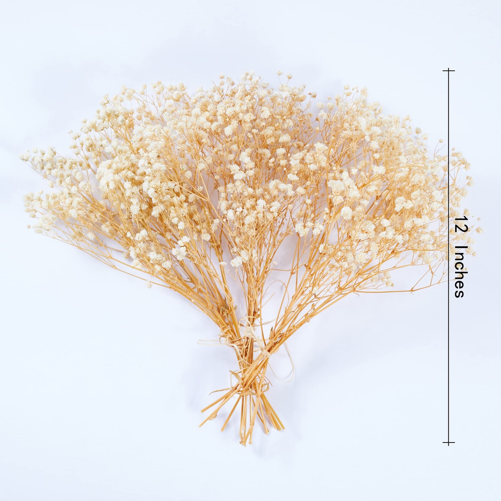 3 Bunches White Preserved Babys Breath Natural Fresh Gypsophila Flowers DIY