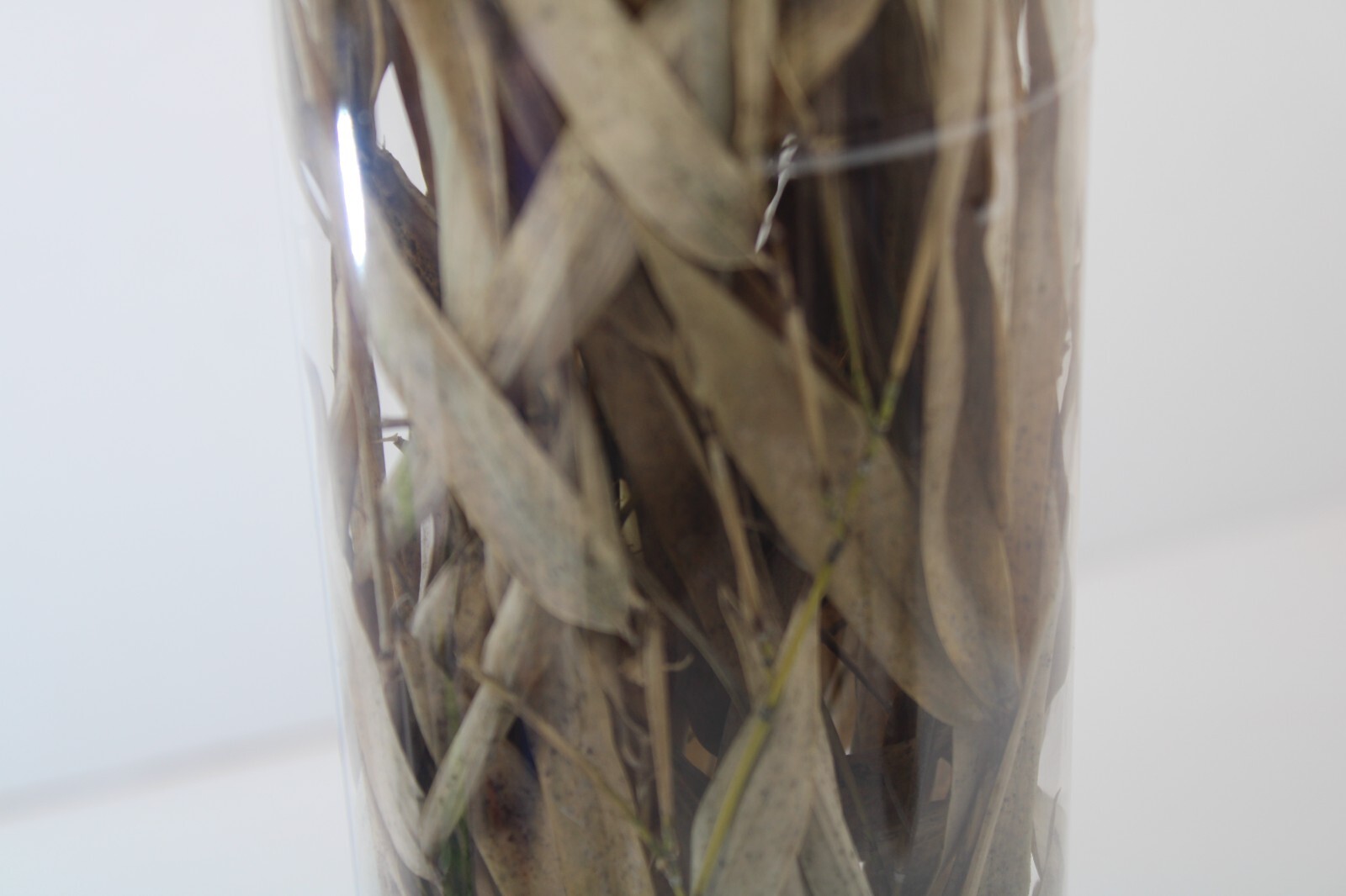Dry Bamboo Roots Plant natural for Decoration