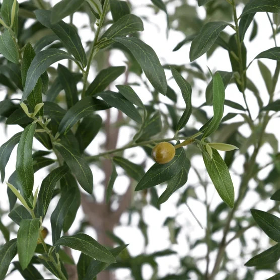 Life-like Faux 8′ Tall Olive Tree with Modern Cream Planter Indoor
