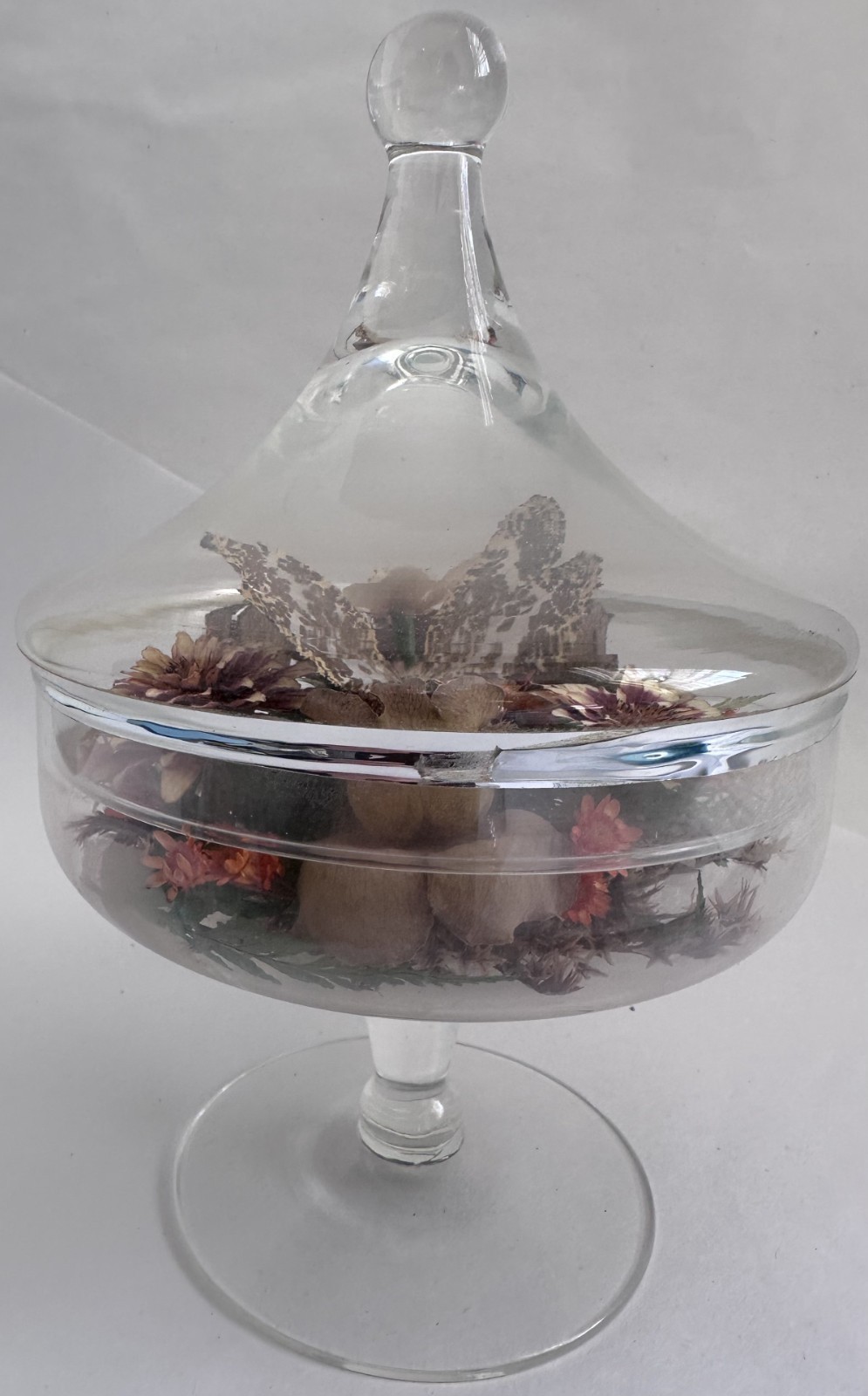 Vintage Glass Cloche Terrarium Butterfly Dried Flowers Pedestal Dome Display