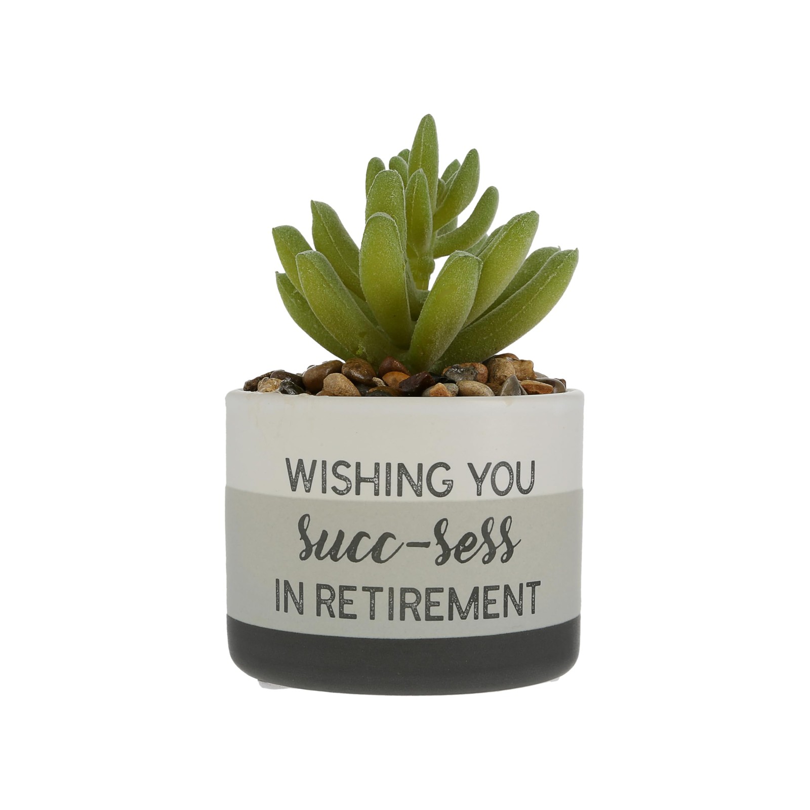 – SUCC-sess in Retirement – 5″ Artificial Plant Retirement Retired Retiree Re…