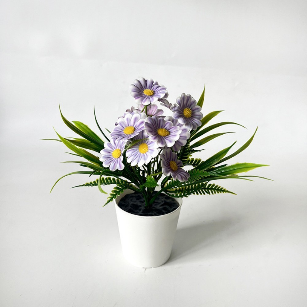 Indoor Chrysanthemum Bonsai Style Plant for Desk Nightstand Table Decor