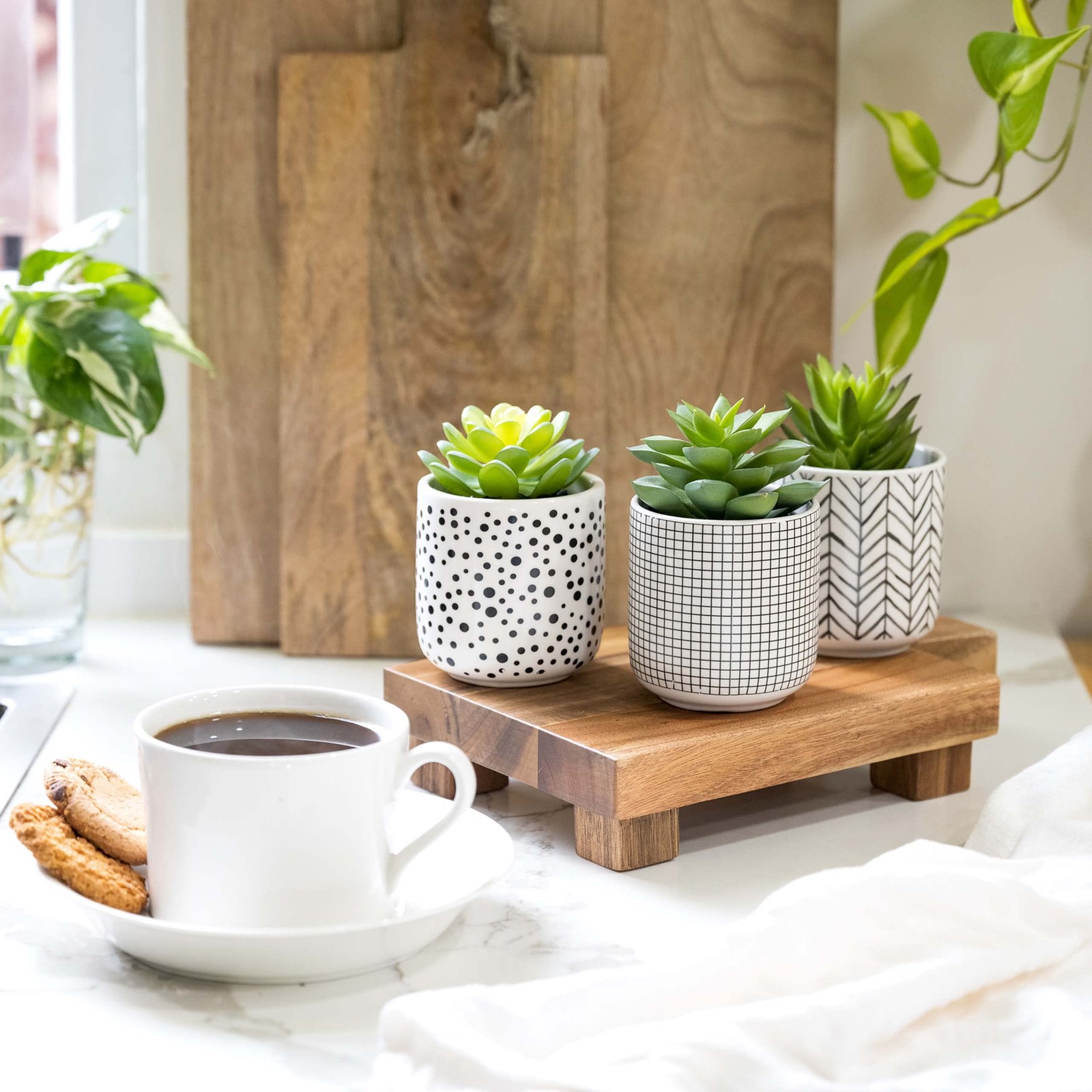 Artificial Succulents in pots | Set of 3 Black and White pots with Faux Succu…