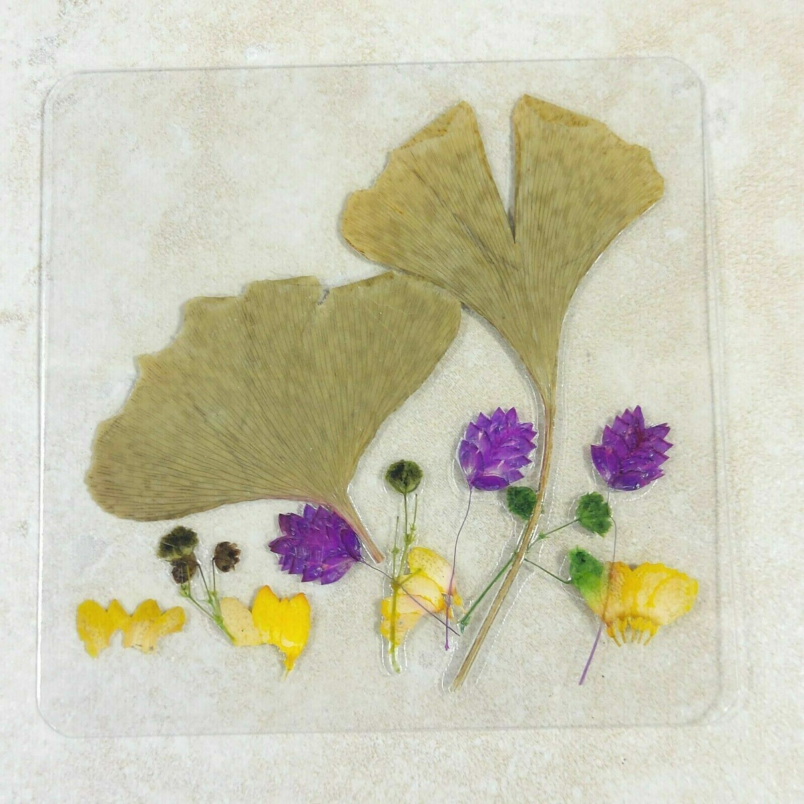 Dried Pressed Flowers Natural Flower Petal Set Resin Art Design Home Décor Gift