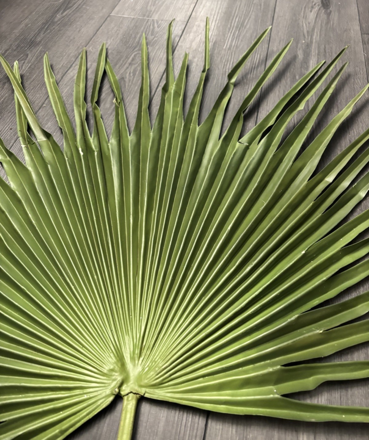 Large Fan Palm Leaf Stem 58” Tropical Boho Coastal Wedding Home Decor Prop