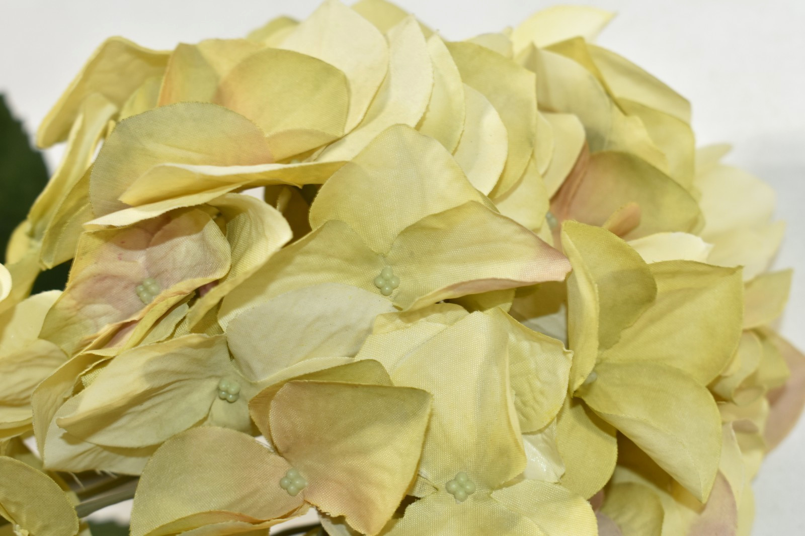 Pottery Barn Faux Hydrangea Ivory Branch Artificial Flower 26″ Stem NEW NOS