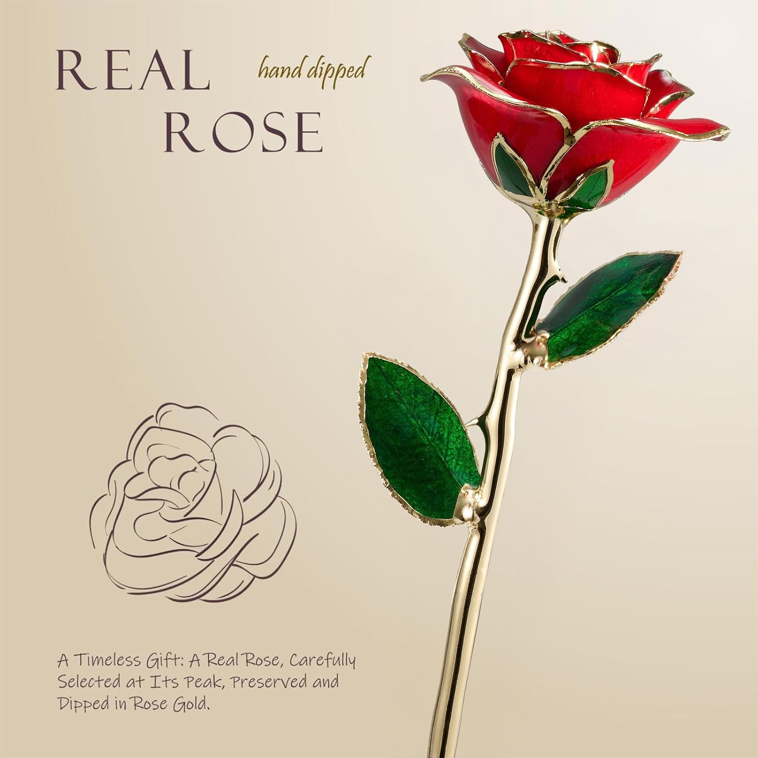 Gold Dipped Rose – Real Rose Preserved in 24K Gold with Stand, Forever Gift for