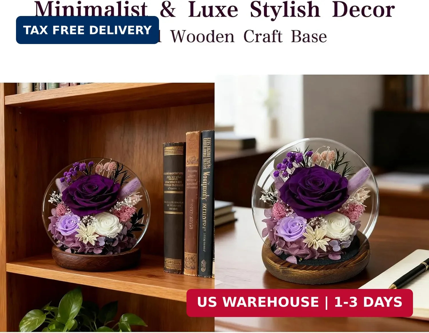 Birthday Gifts for Women Preserved Rose in Glass Dome Preserved Flowers Forever