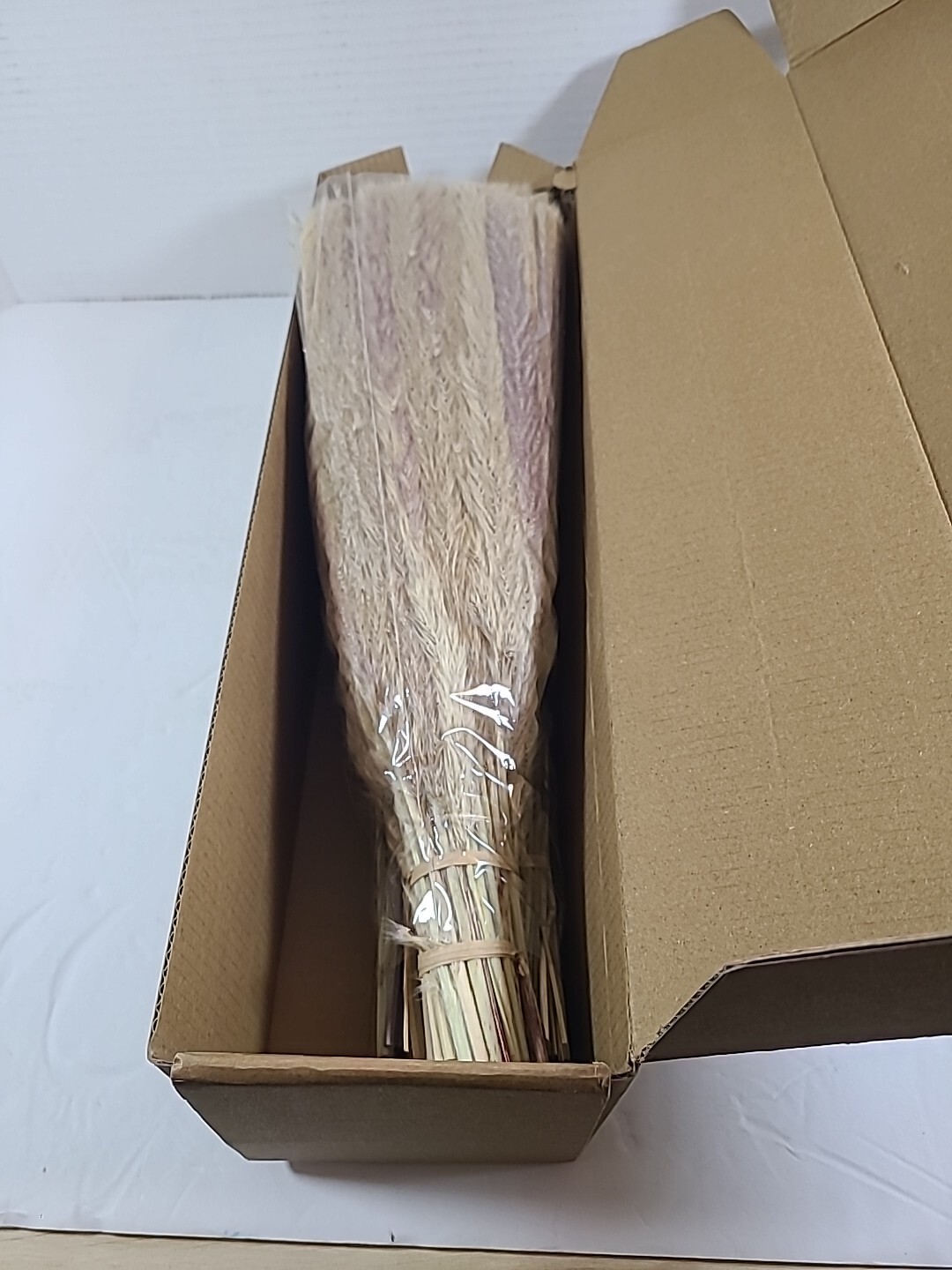 Janinka 280 Pcs Natural Dried Pampas Grass Decor