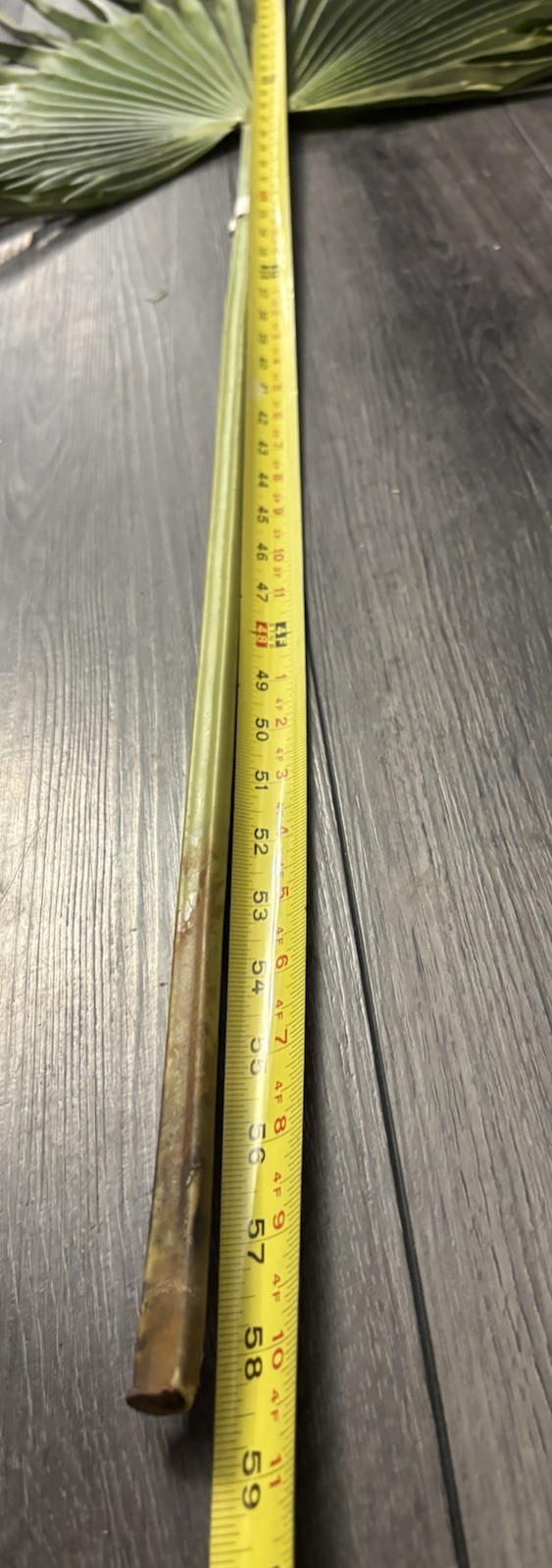 Large Fan Palm Leaf Stem 58” Tropical Boho Coastal Wedding Home Decor Prop