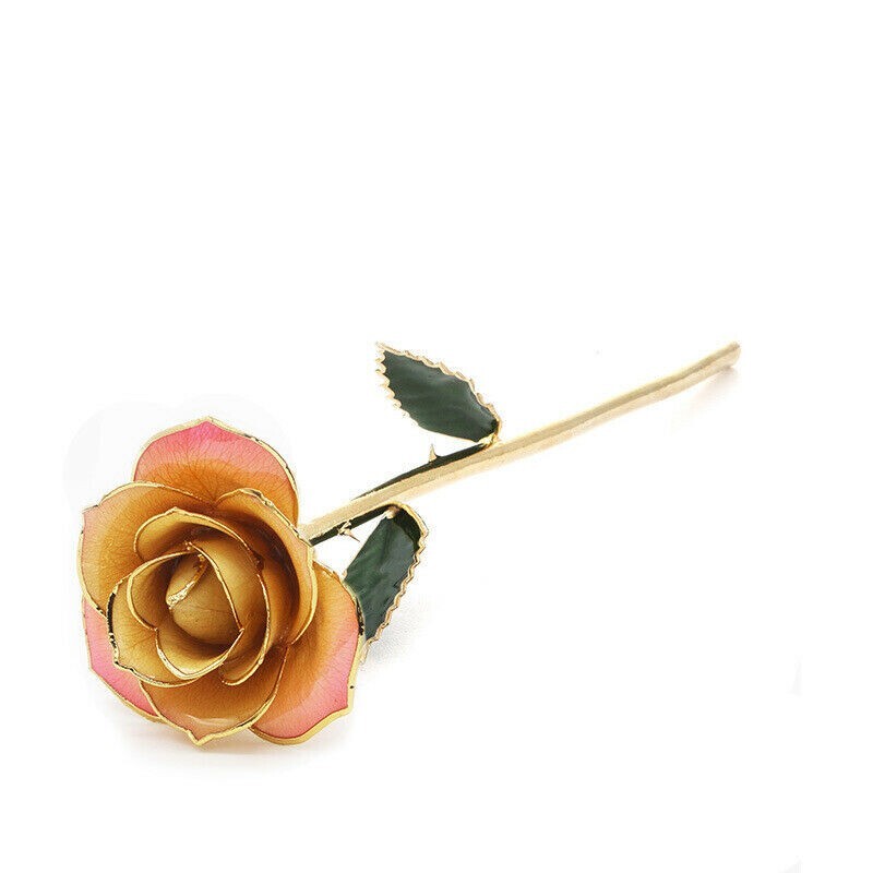 Daya- Forever real preserve rose dipped in gold 24k (Cream/Pink)