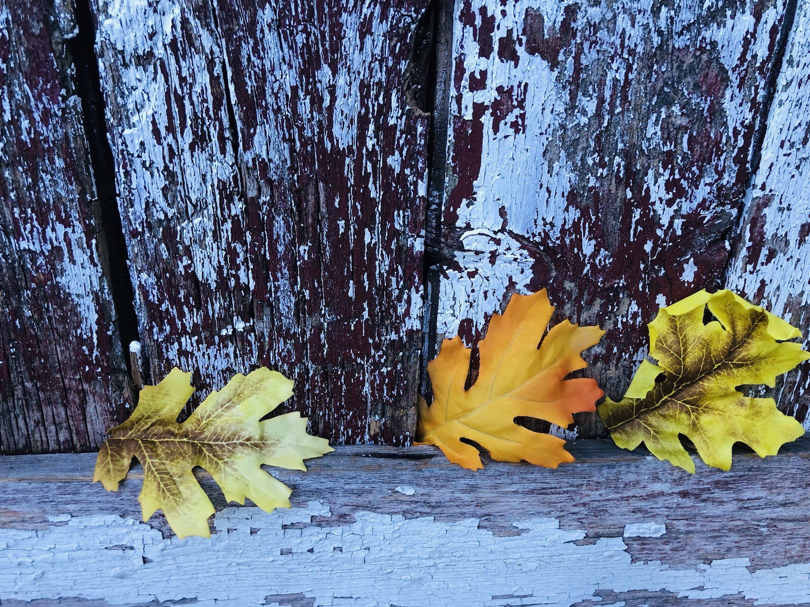 36 Sunny Ridge Oak Fall Leaves Autumn Artificial LOOSE in A BAG Wedding Decor