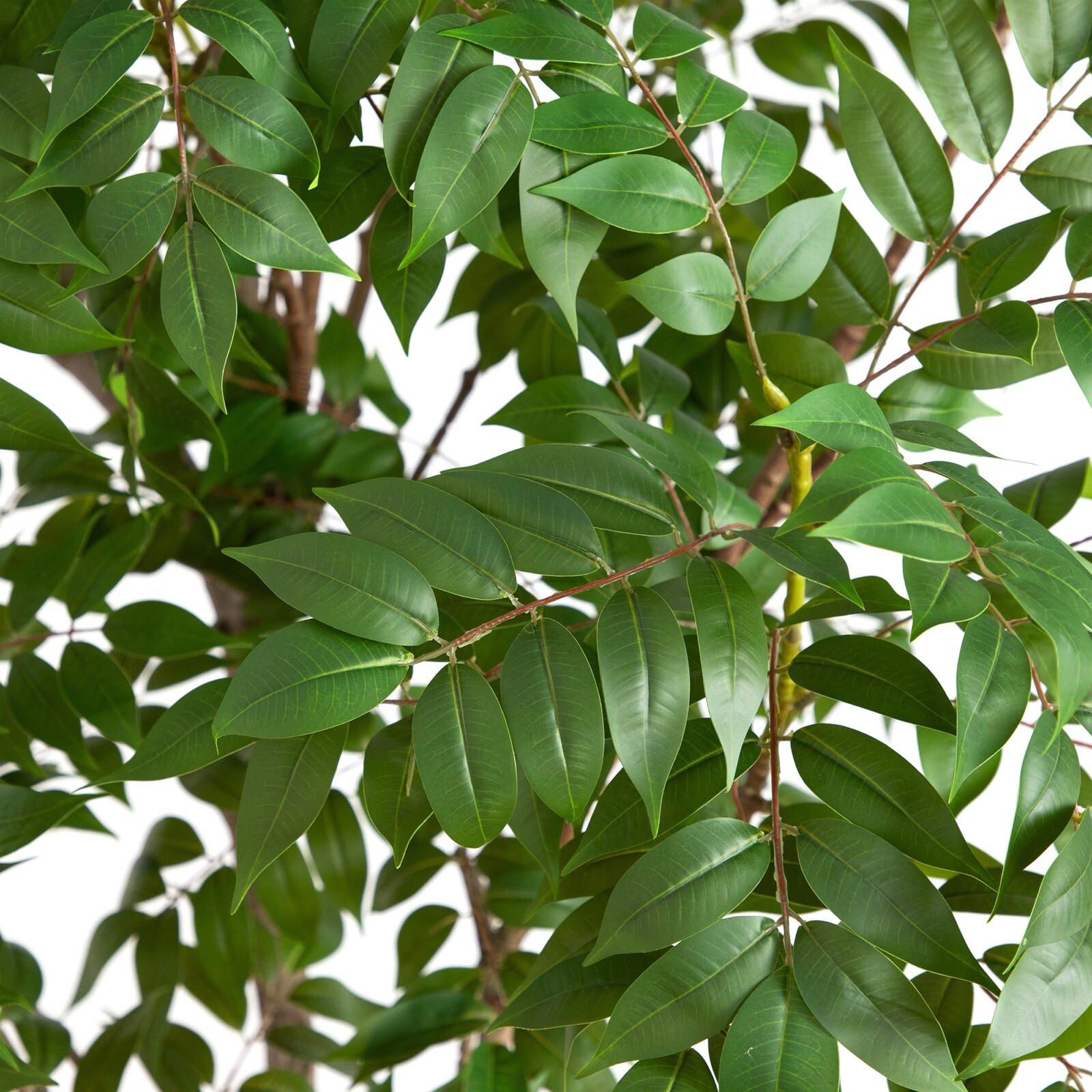 8’ Artificial Sumac Tree Home Decor. Retail $419