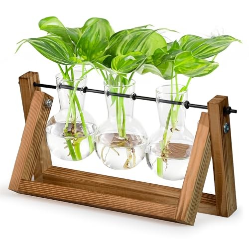 Glass Propagation Station with Wooden Stand – 3 Bulb Vase Plant 3 Bulbs