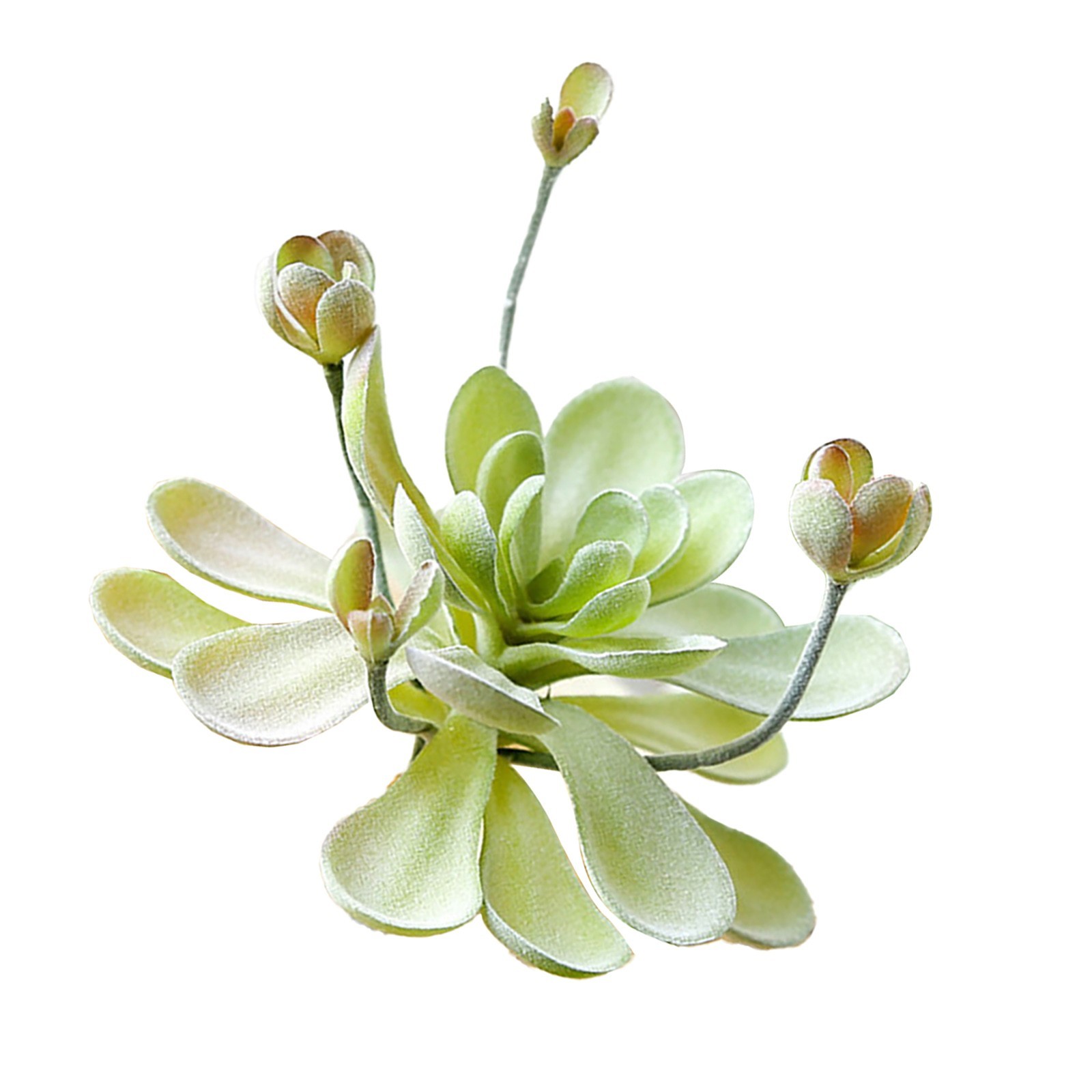 Simulated Succulent Plant Wall Accessories Plant Flower Head DIY Supplies Decor