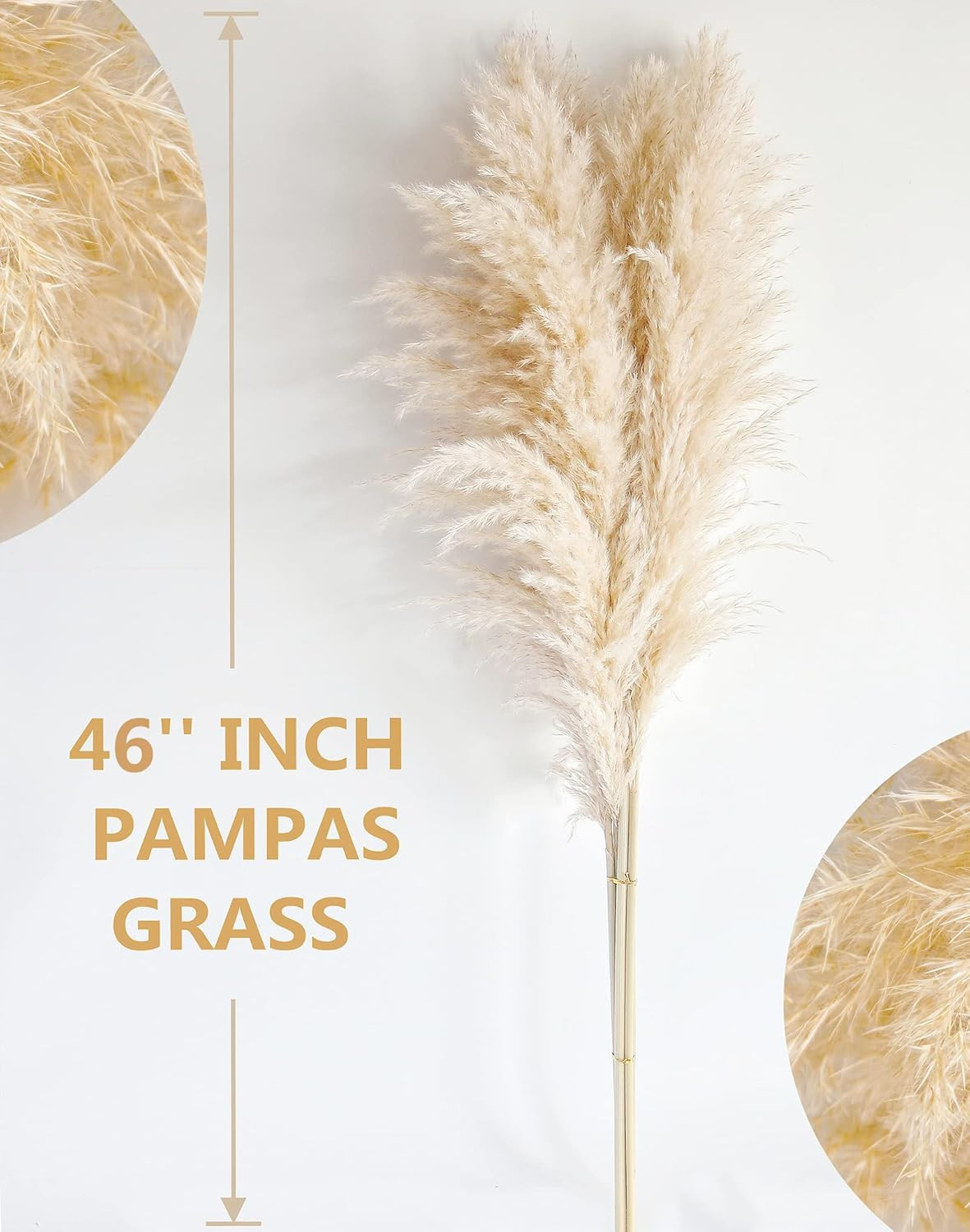 40″ Pampas Grass Stems – Natural Decor for Weddings, Parties & Boho Homes