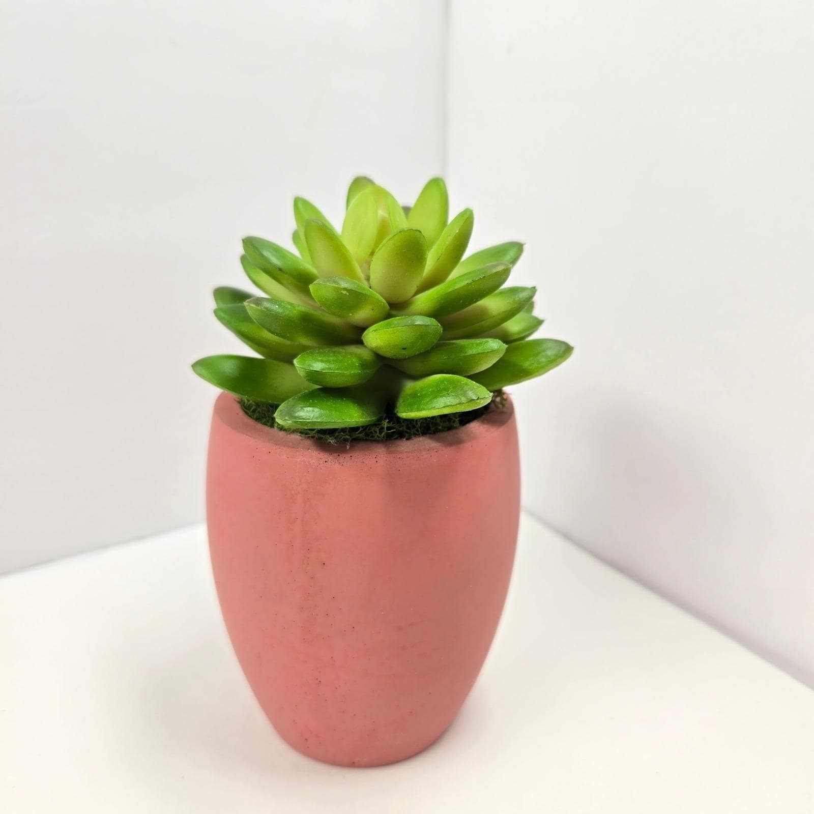 Handmade Faux Succulent in Clay Pot Mini Plant Decor Gift Home Office