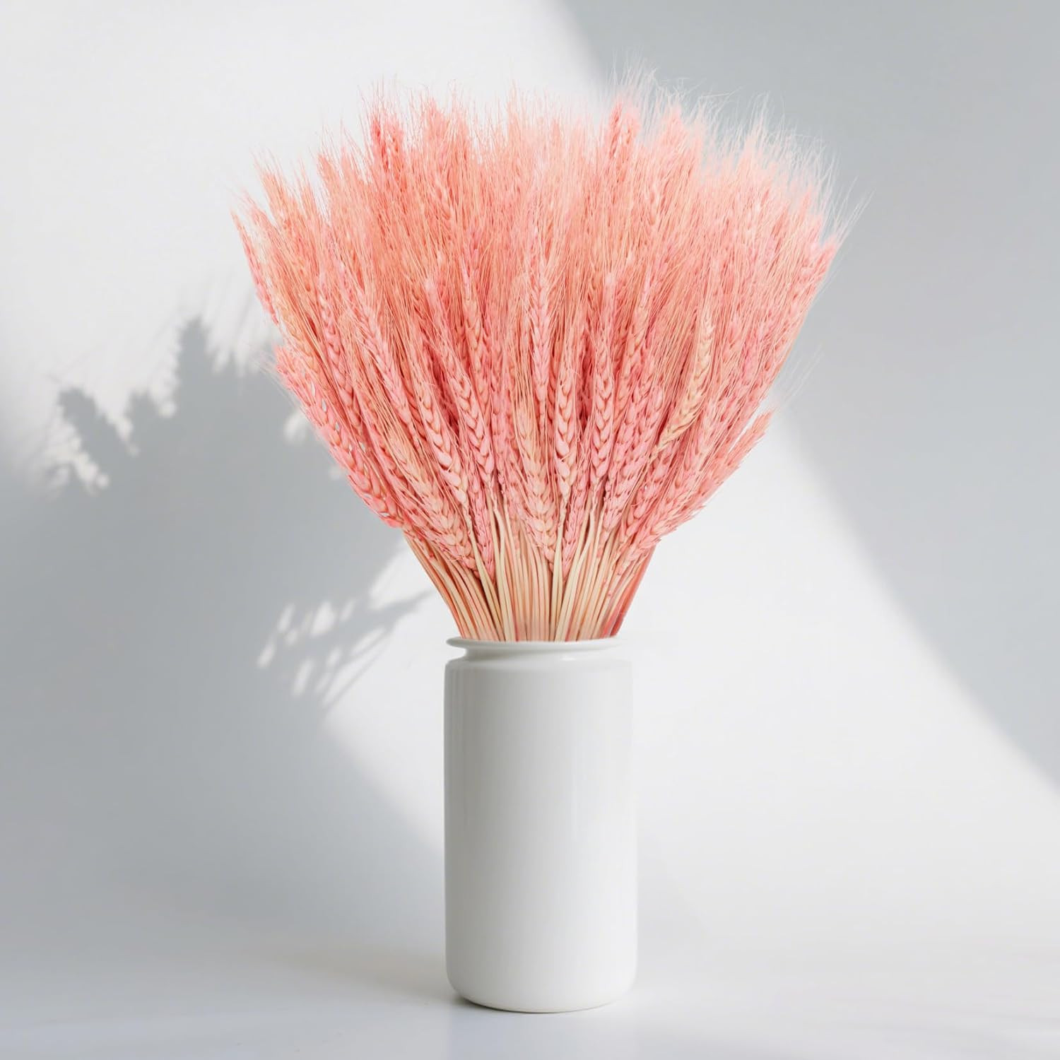 50 Stems Dried Wheat Stalks for Decor Sheaves Grass Natural Bunch Flowers Pink
