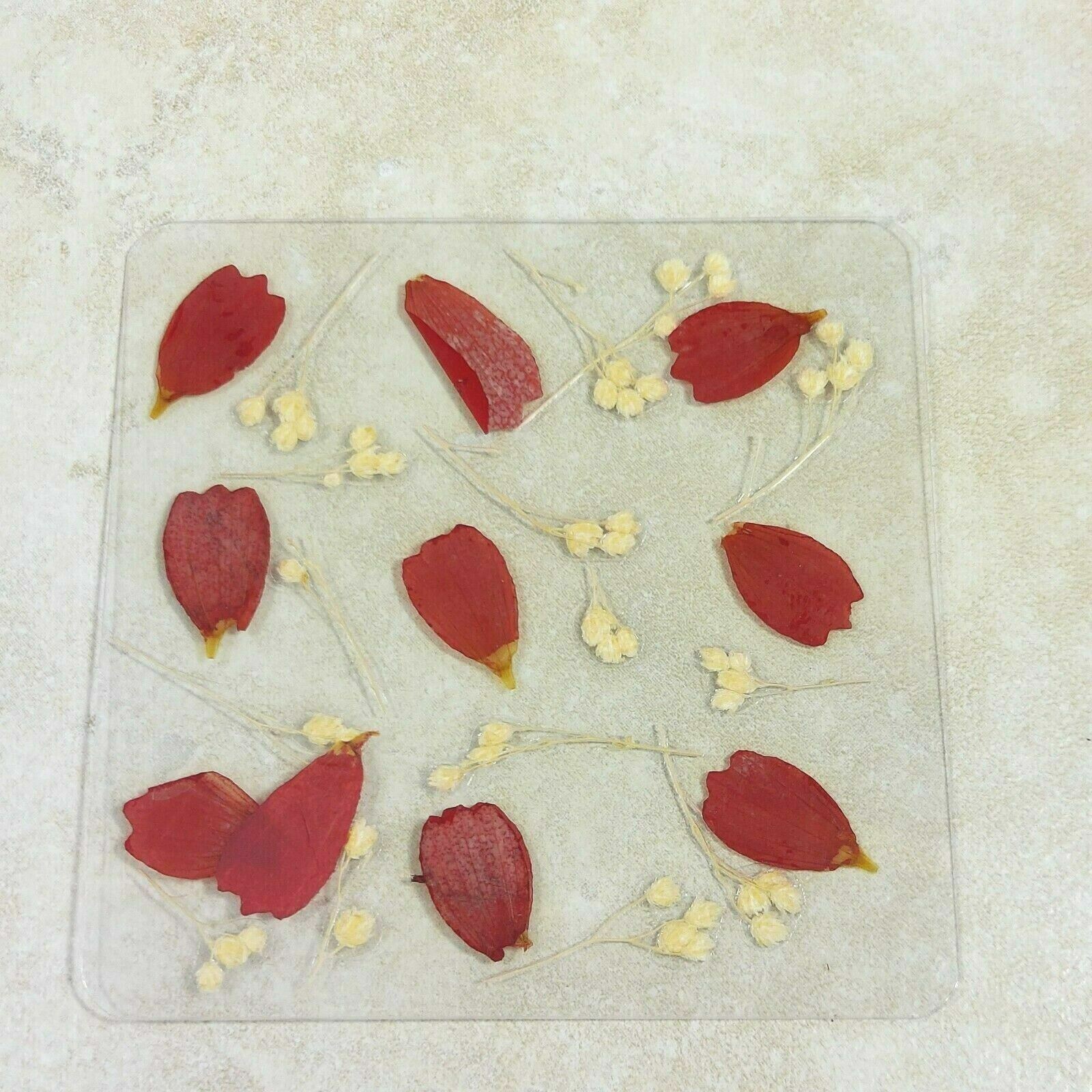 Dried Pressed Flowers Natural Flower Petal Set Resin Art Design Home Décor Gift