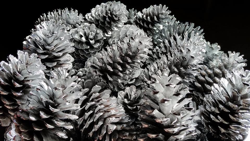 Silver painted pine cones 2.5″-3″ tall one dozen, silver pine cones