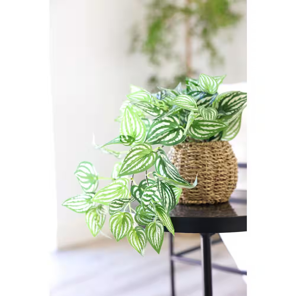 6 In. Brown Artificial Trailing Ivy in Basket