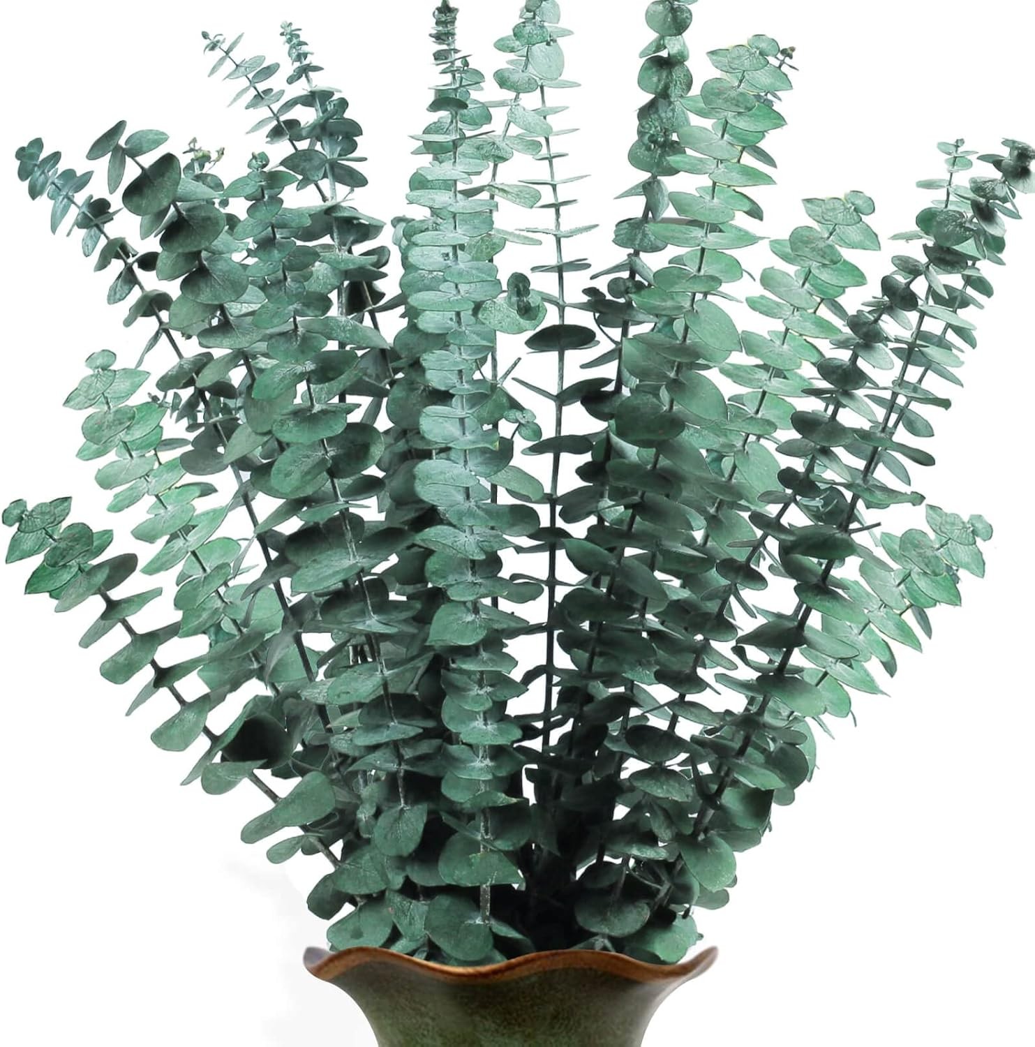 30 PCS Real Dried Eucalyptus Plant Large Stems for Shower, 100% Natural Fresh