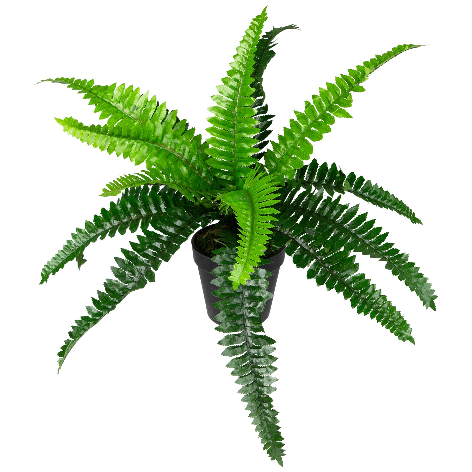 Northlight 15.75″ Potted Artificial Long Green Boston Fern Plant