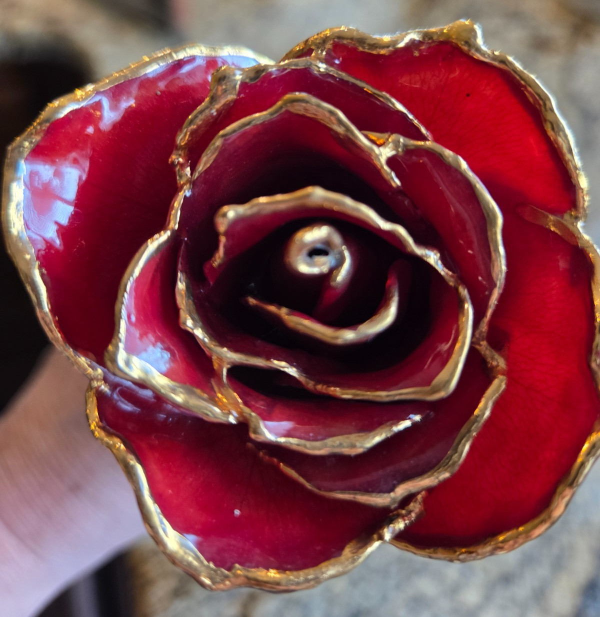 24K ROSE CO Real Forever Rose 11″ Everlasting Gift of Love – Red Only￼