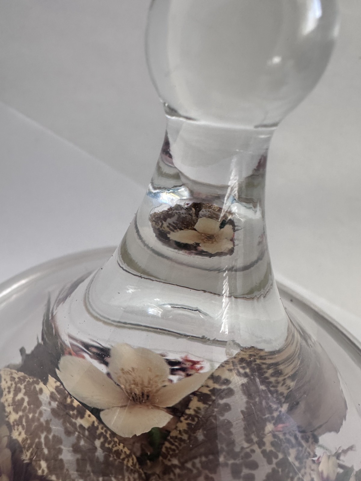 Vintage Glass Cloche Terrarium Butterfly Dried Flowers Pedestal Dome Display